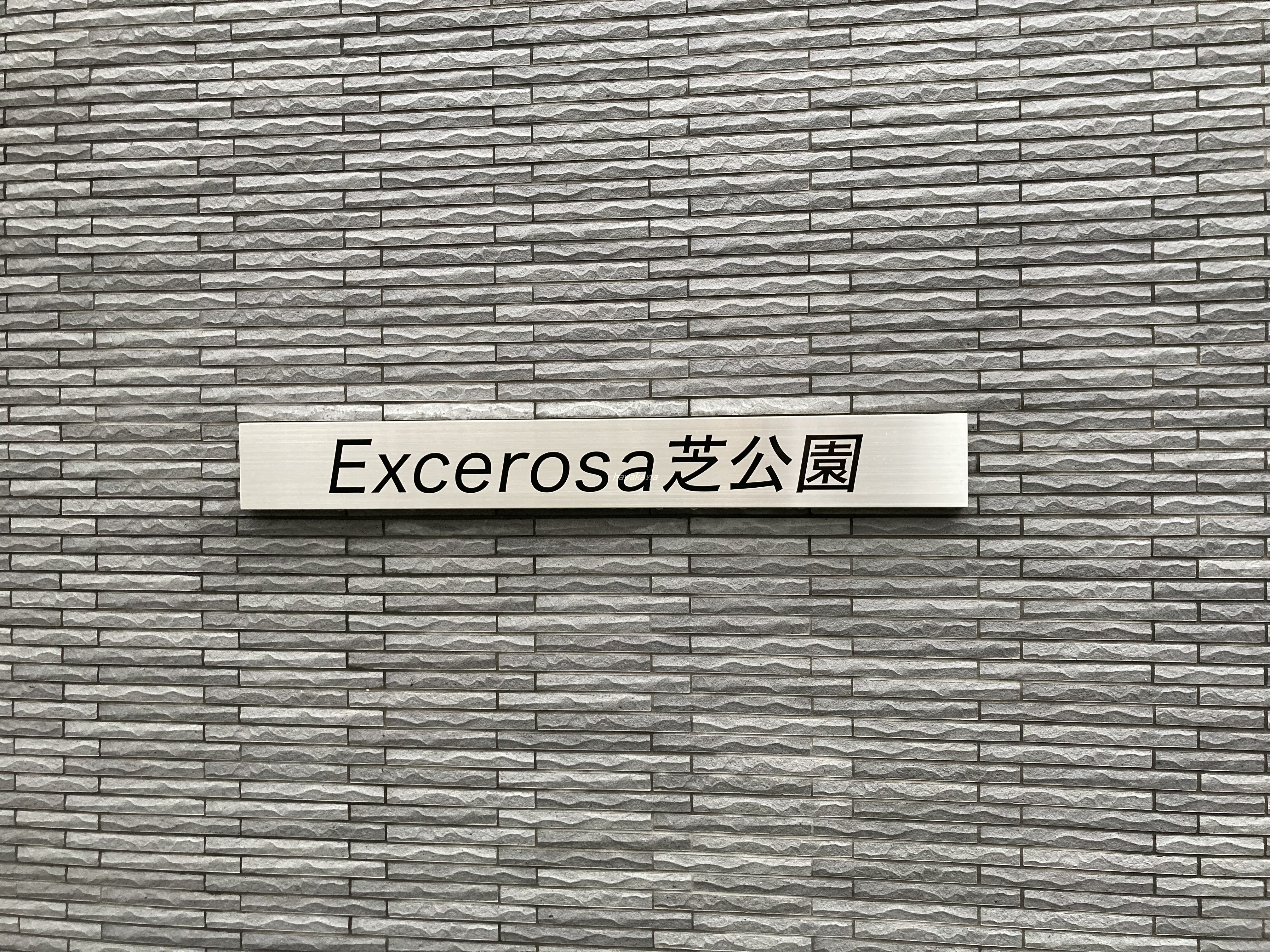 20559画像