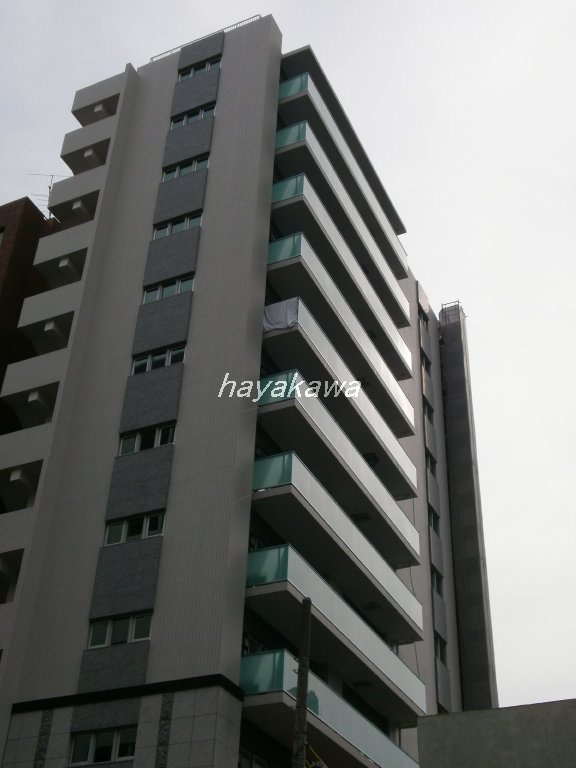 2625画像