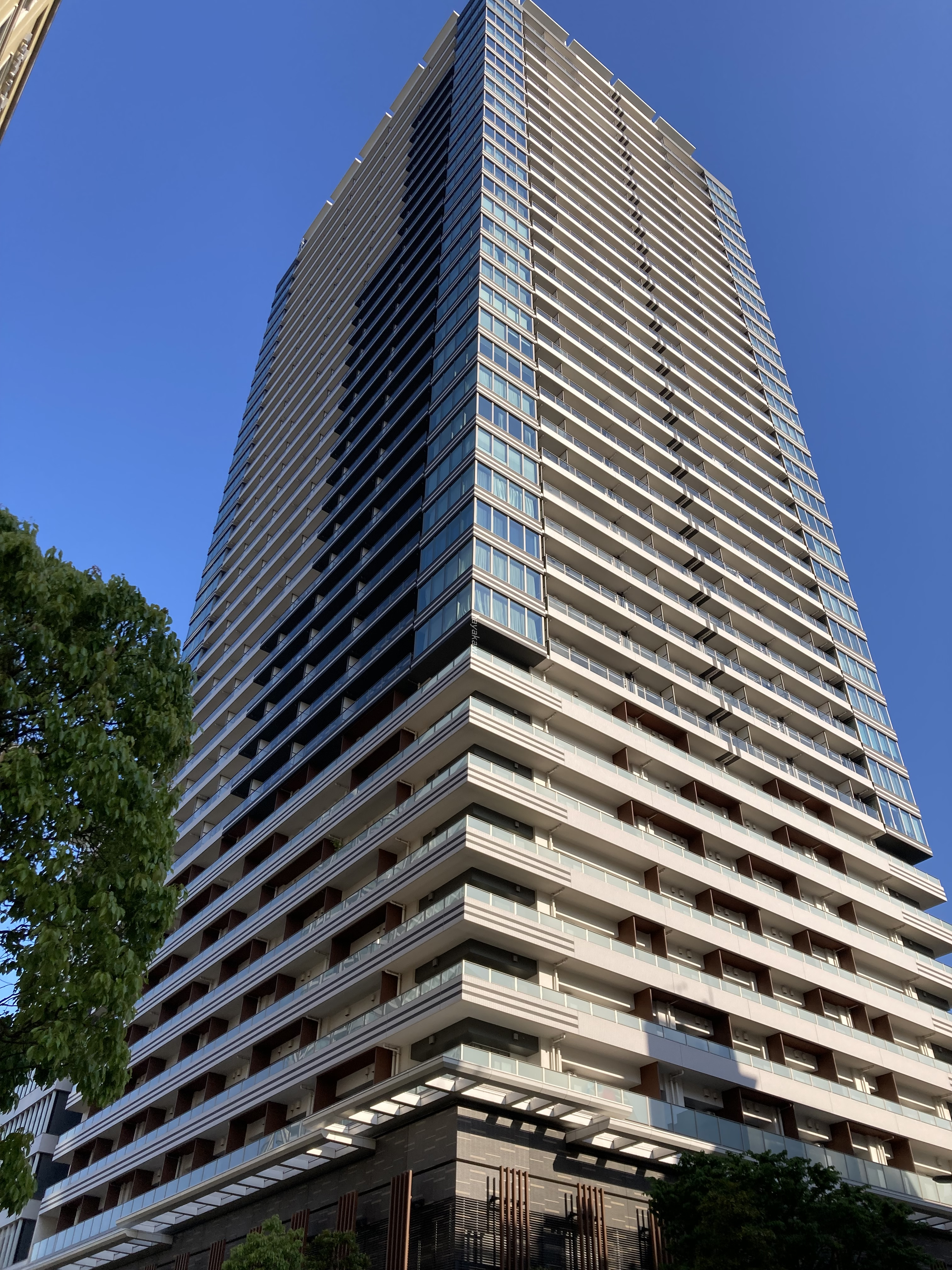38272画像