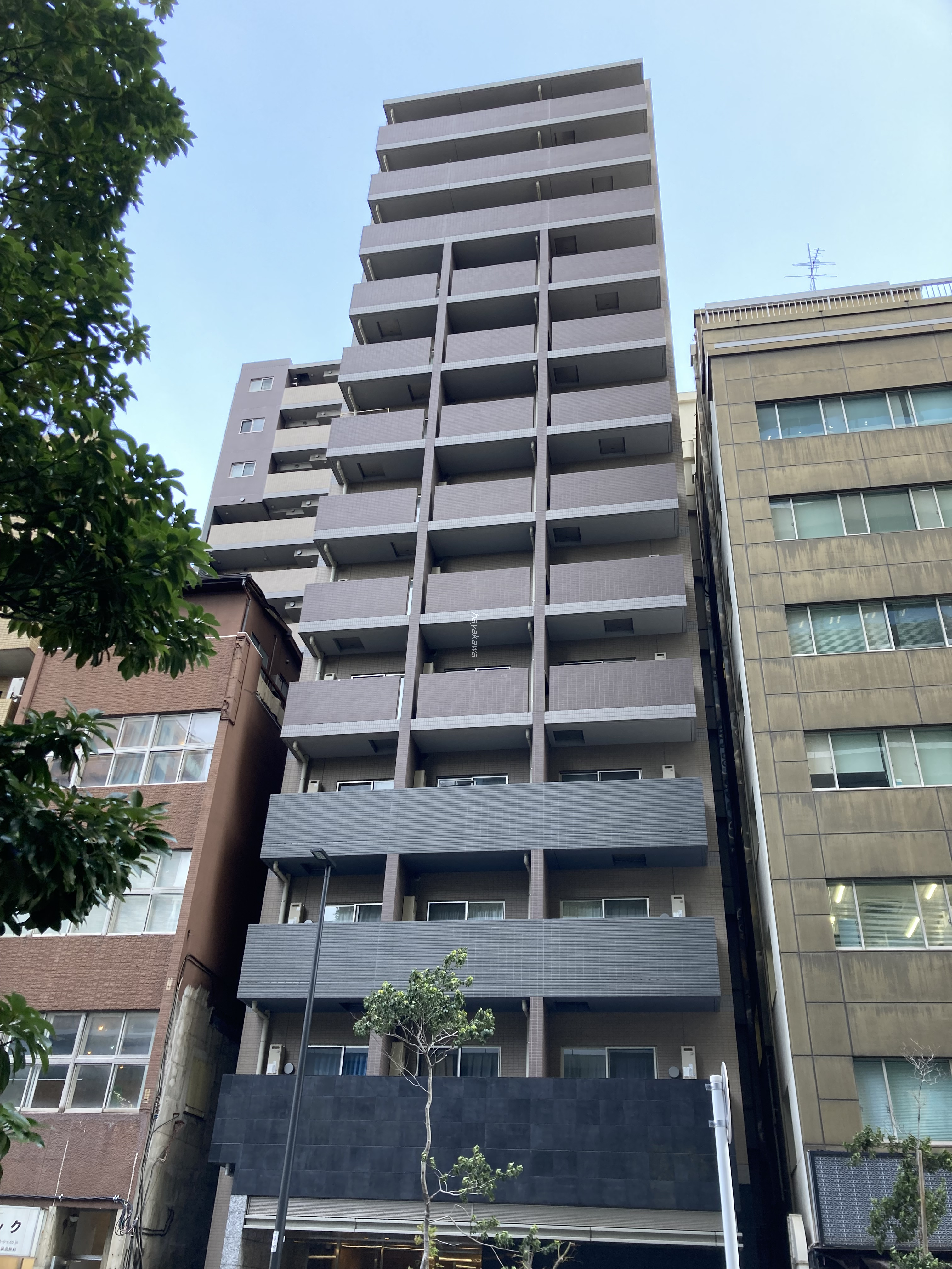 38642画像