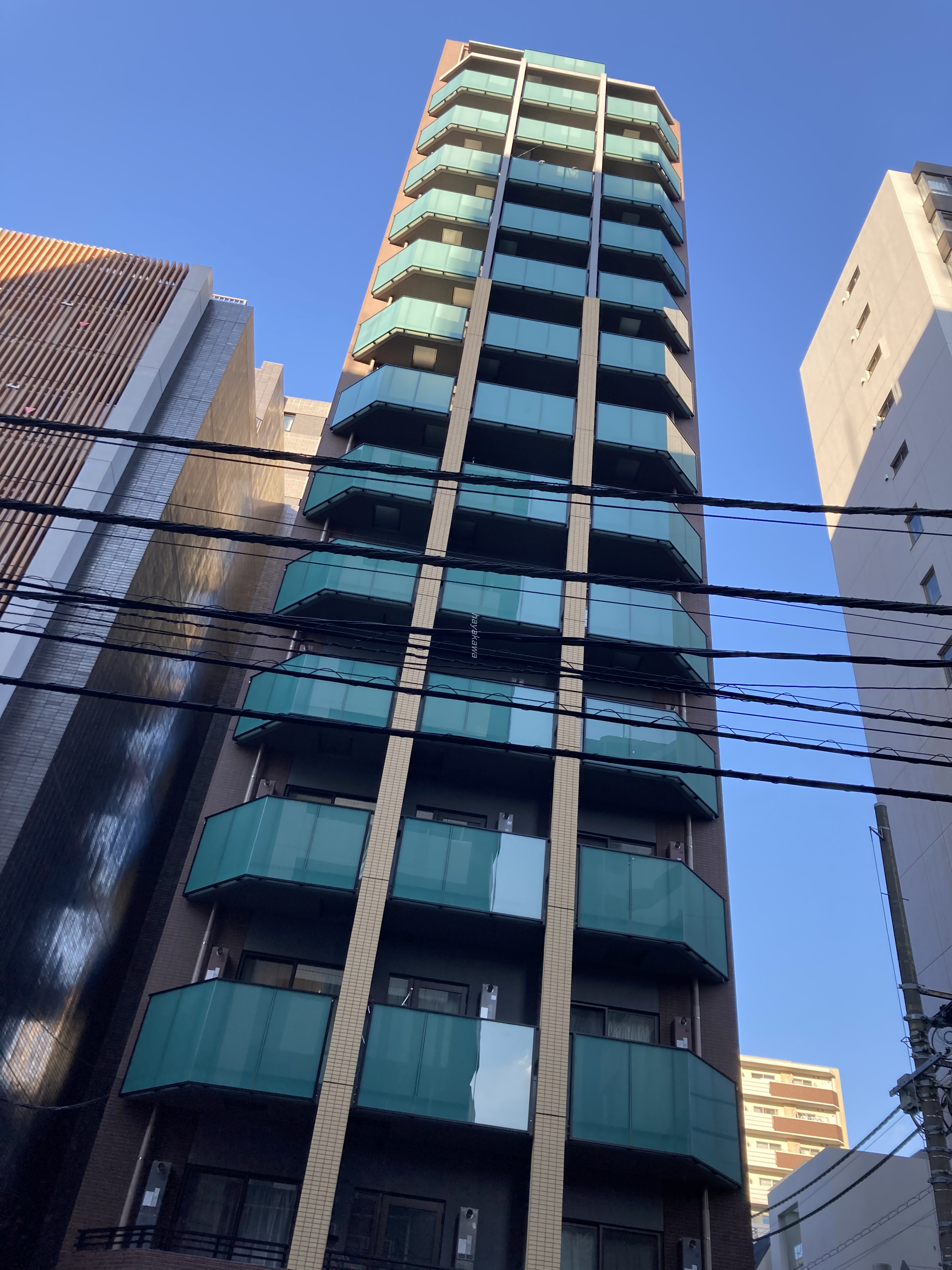 38817画像