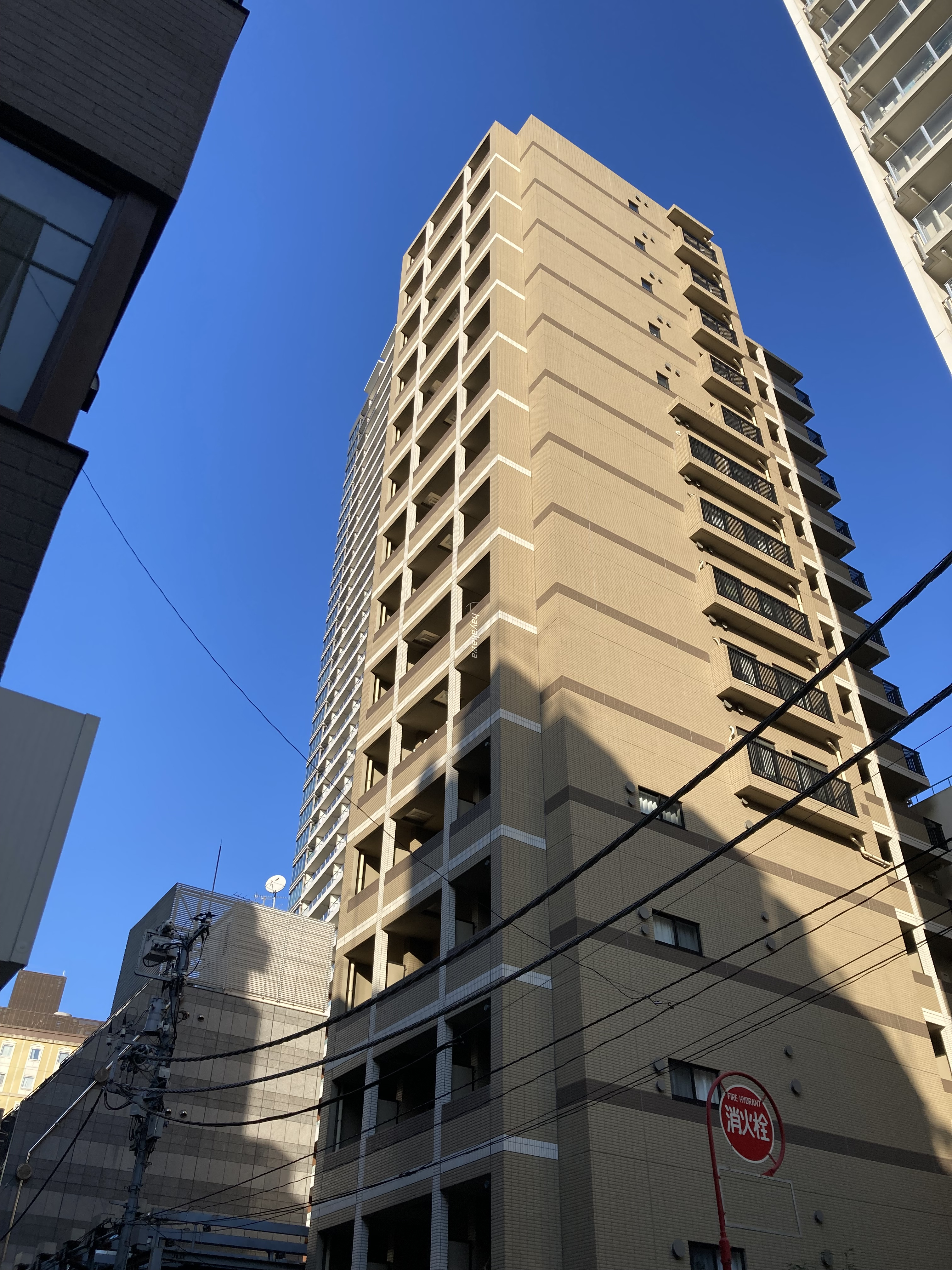 38948画像