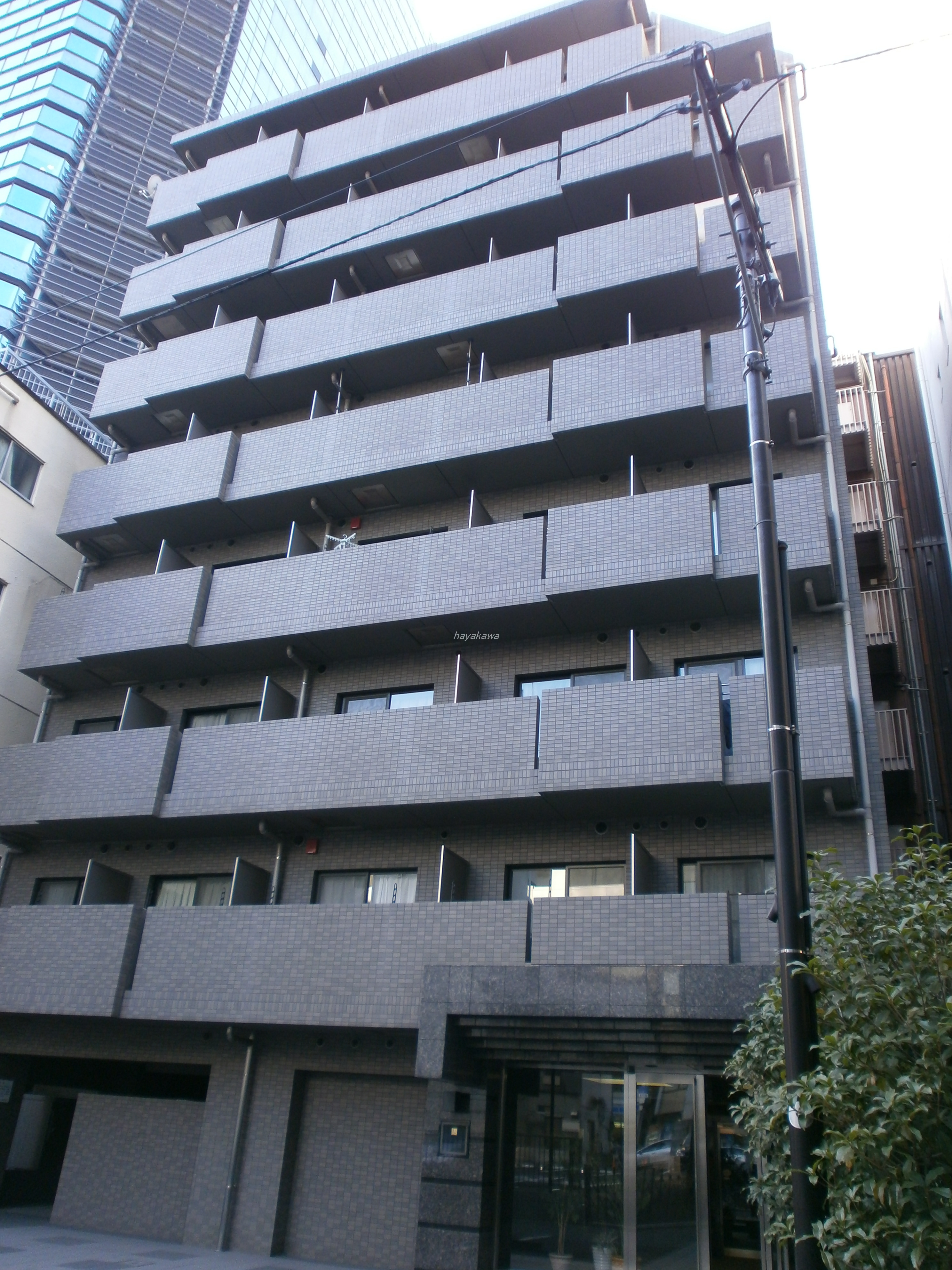 39288画像