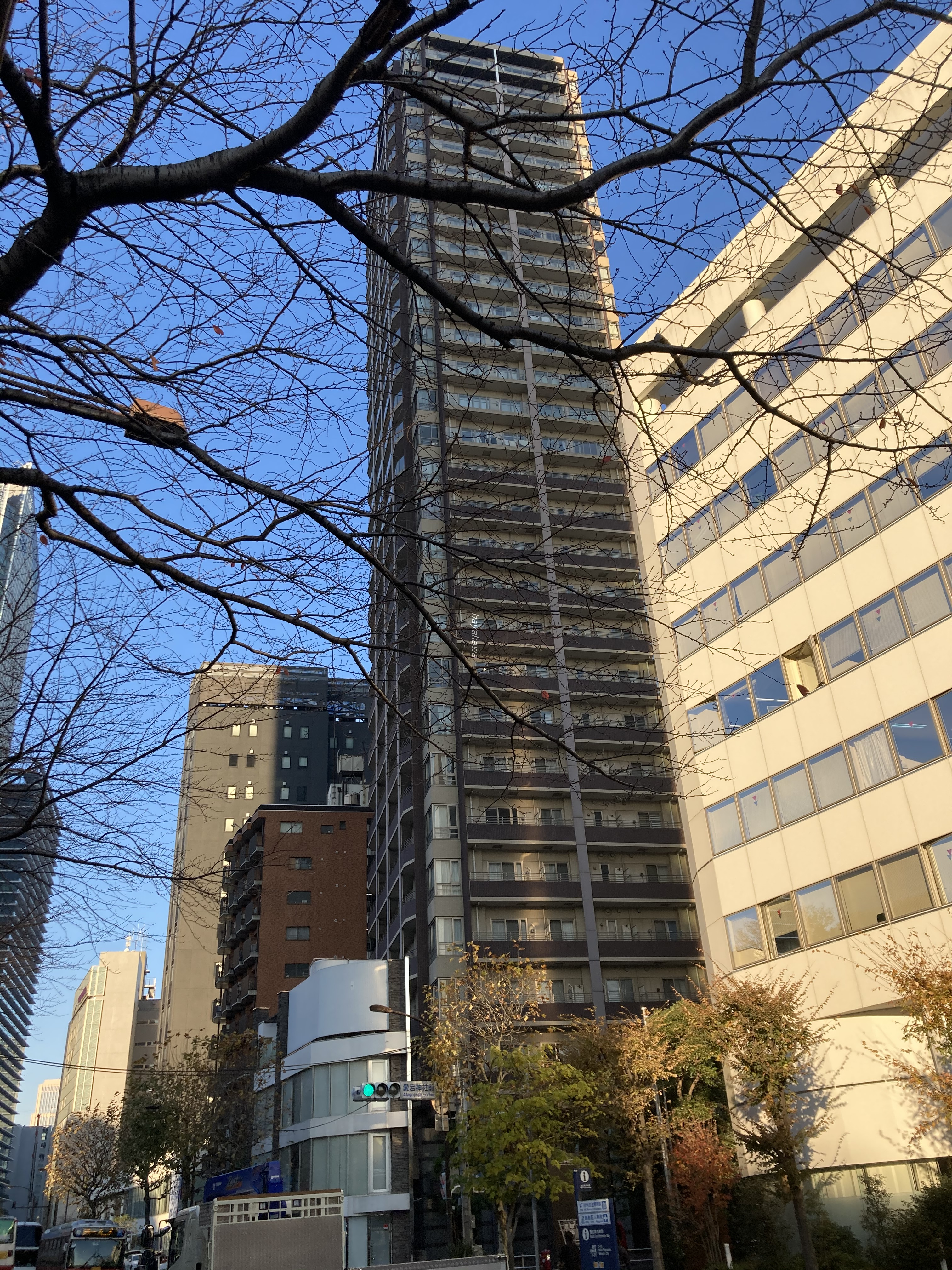 39331画像