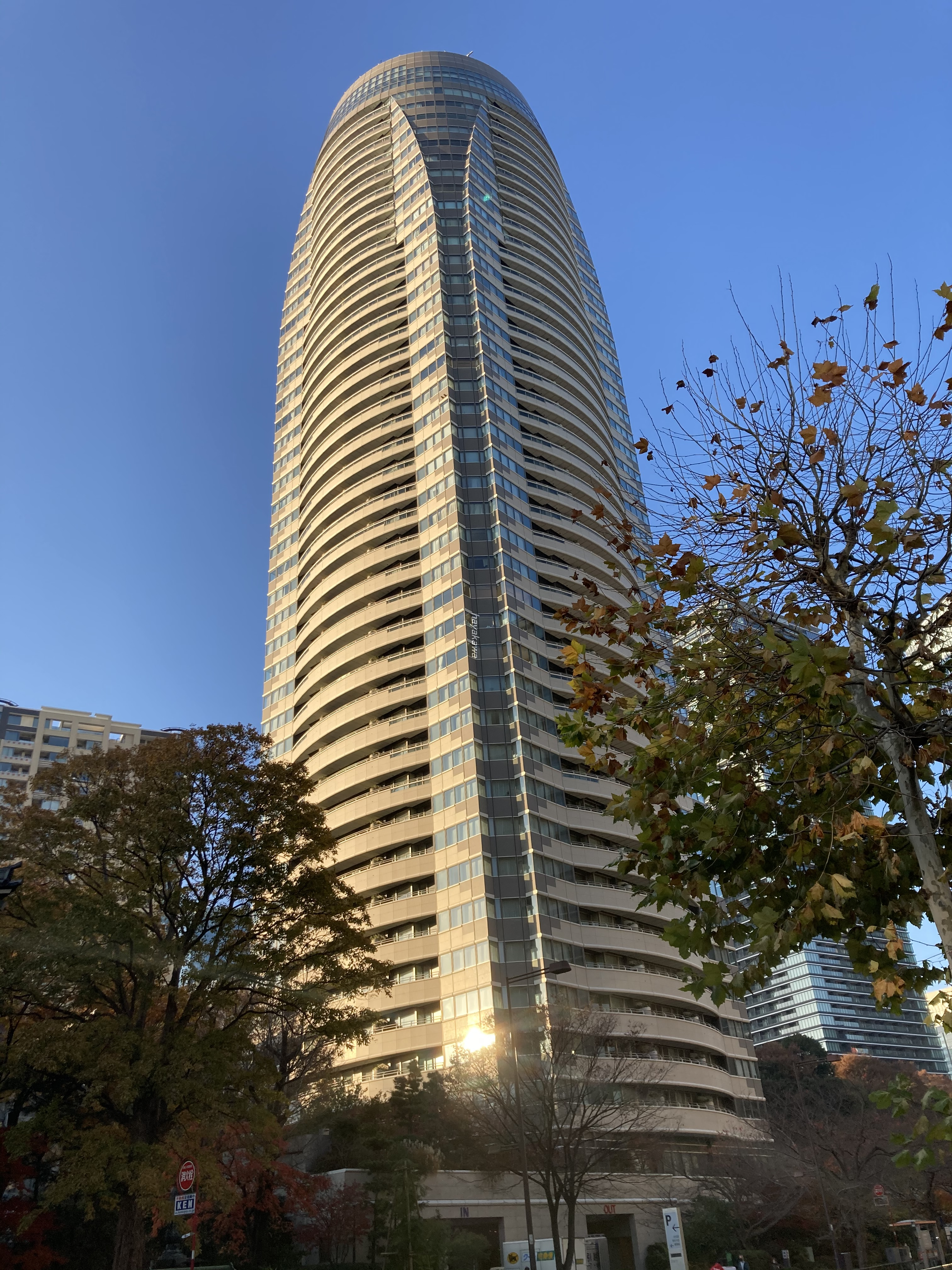 39534画像