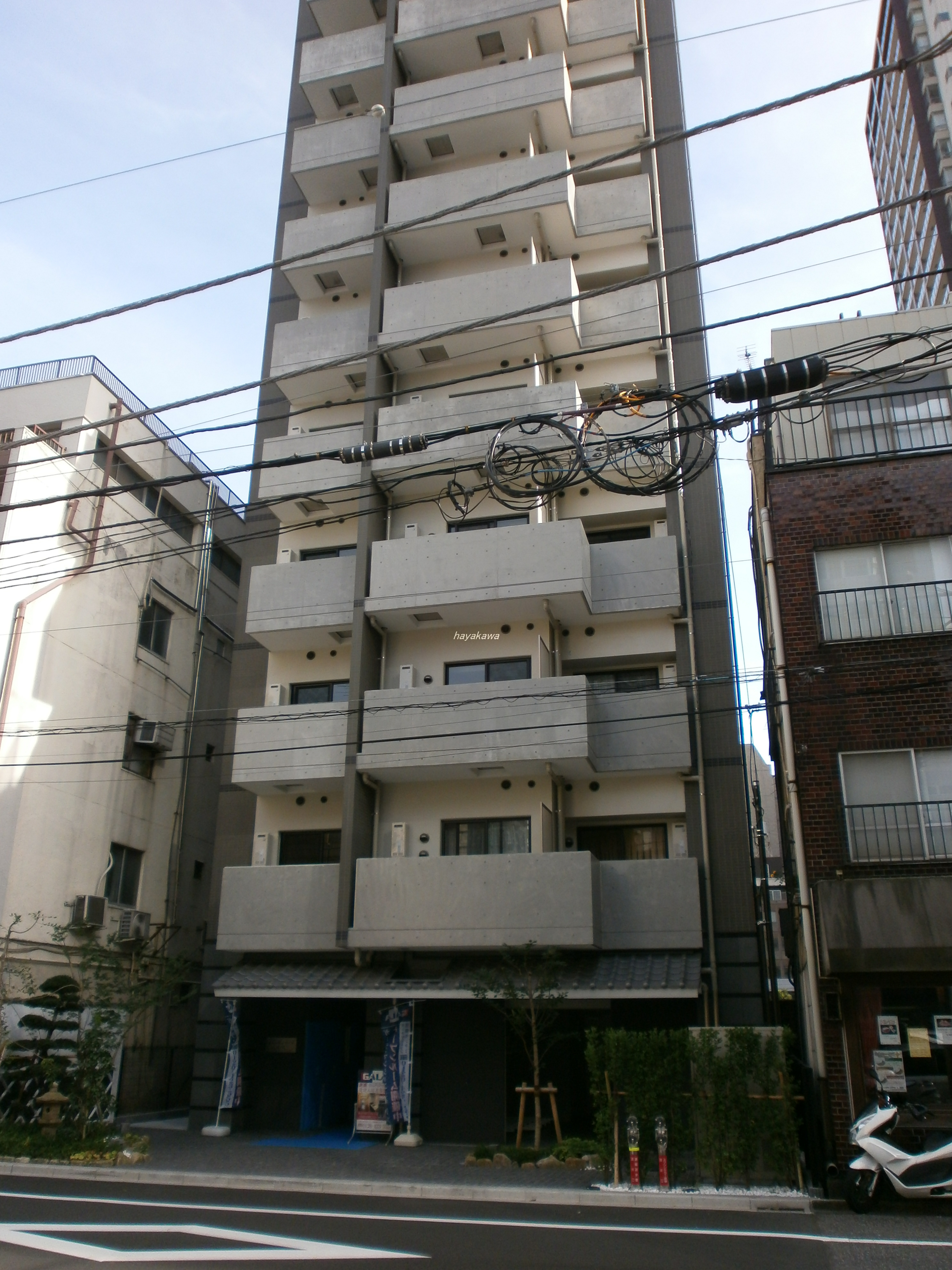 39704画像