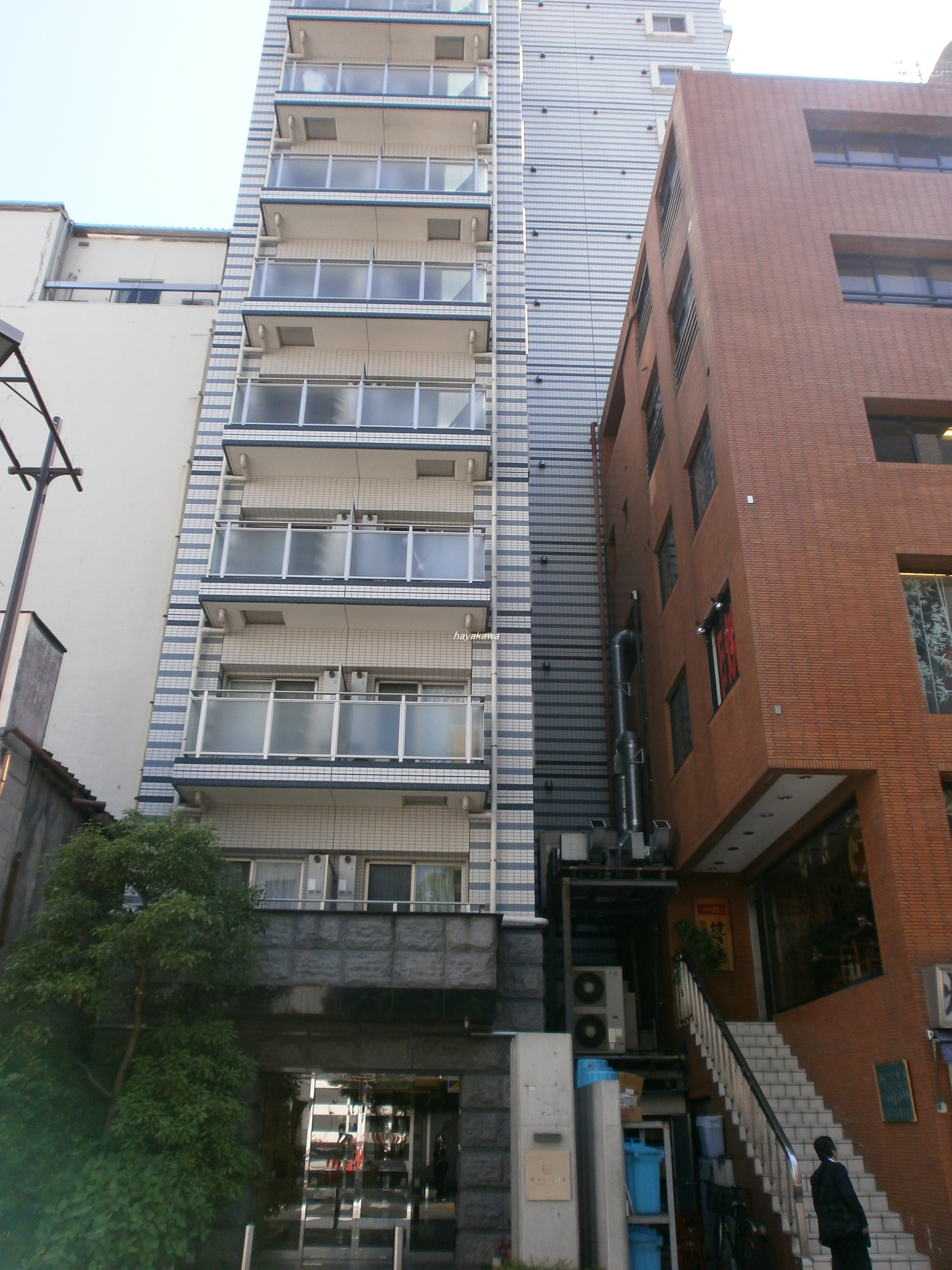 39712画像