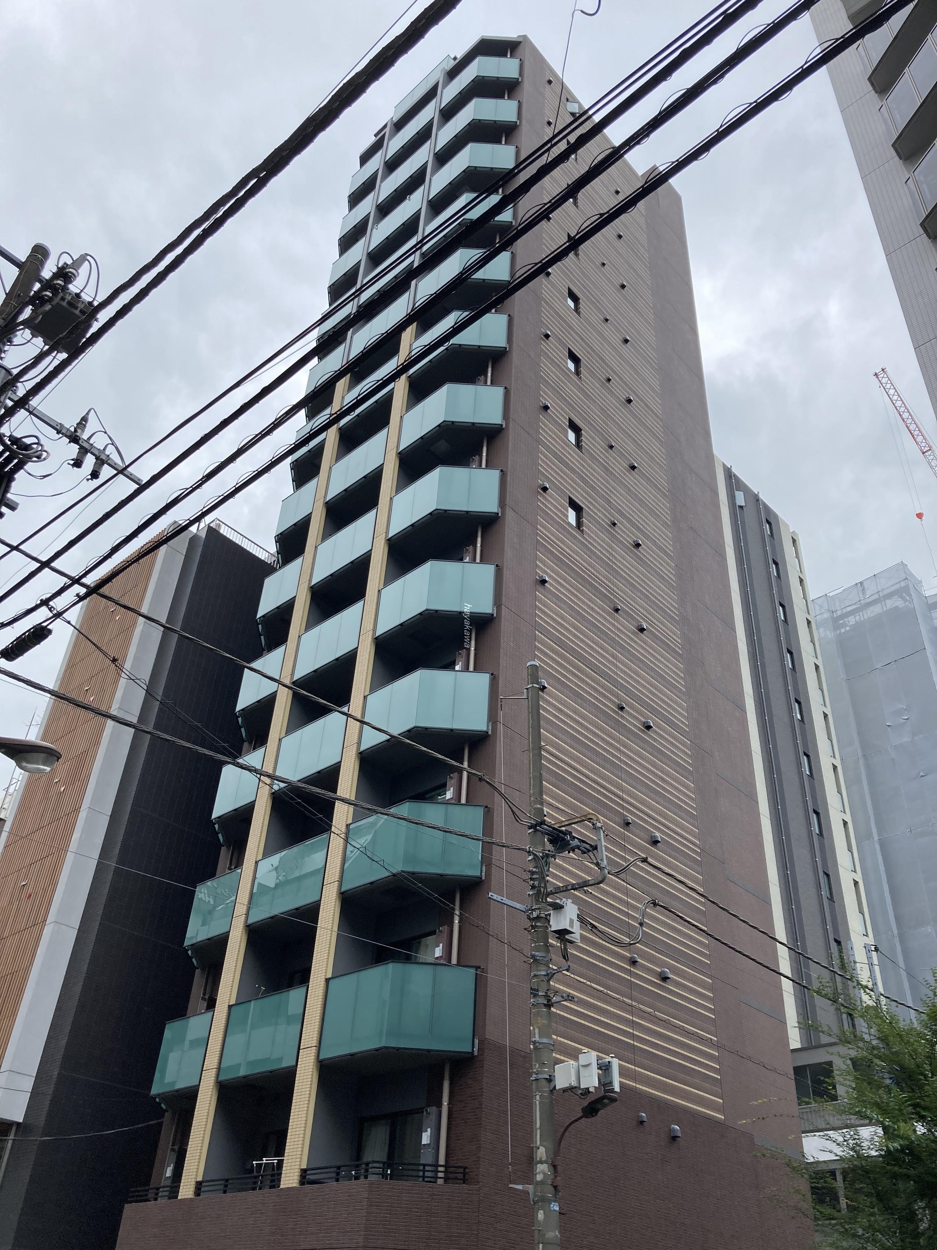39954画像