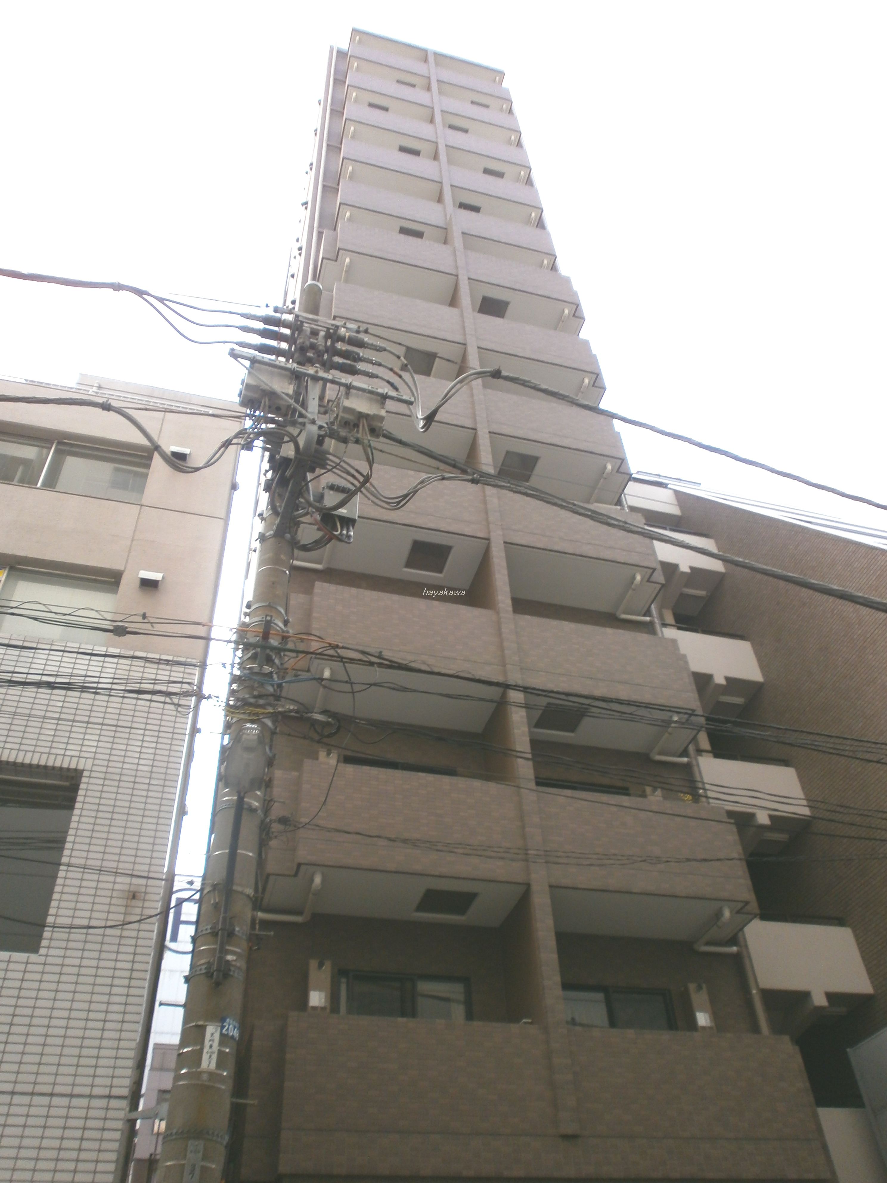 40615画像