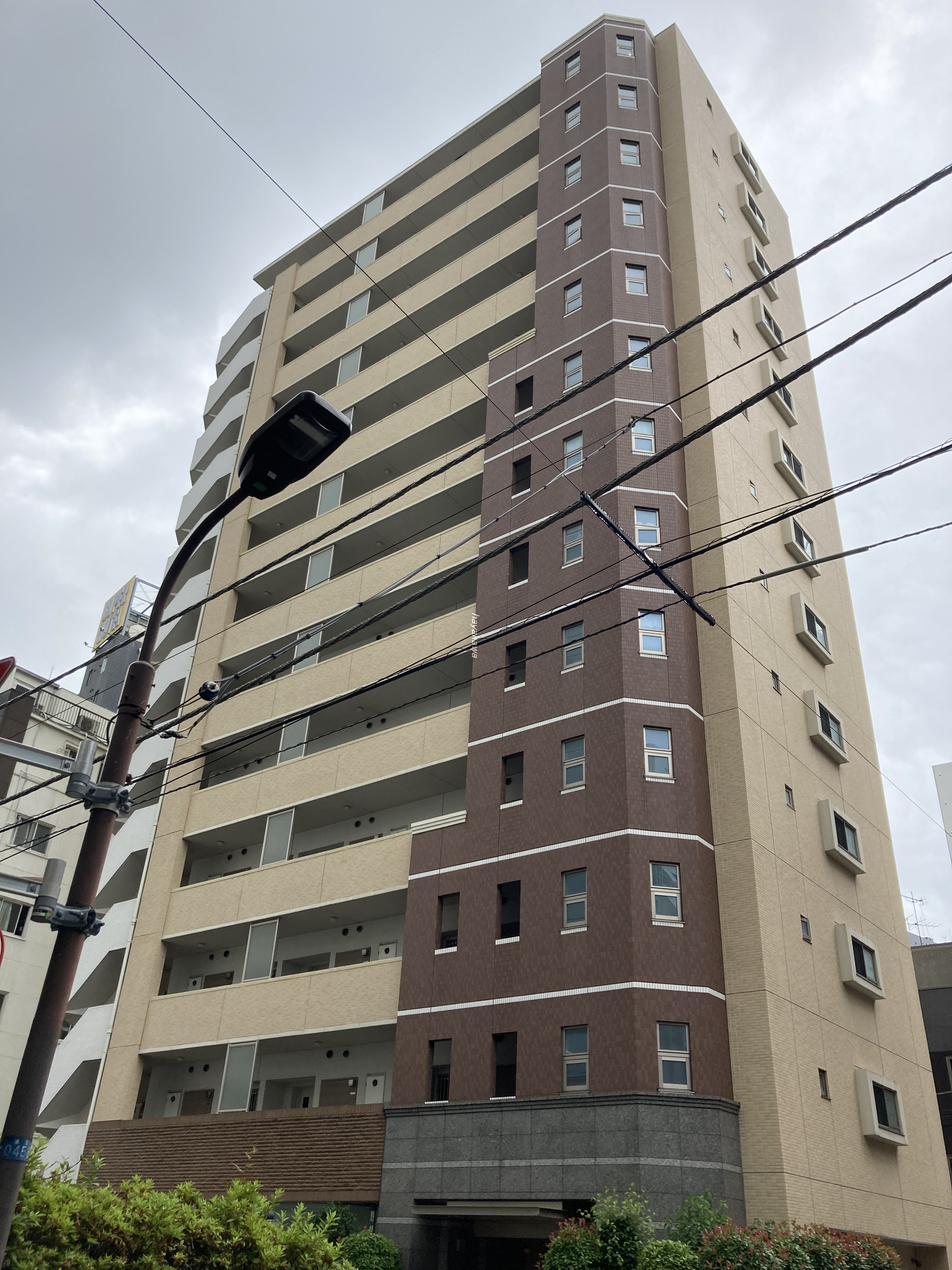 40629画像
