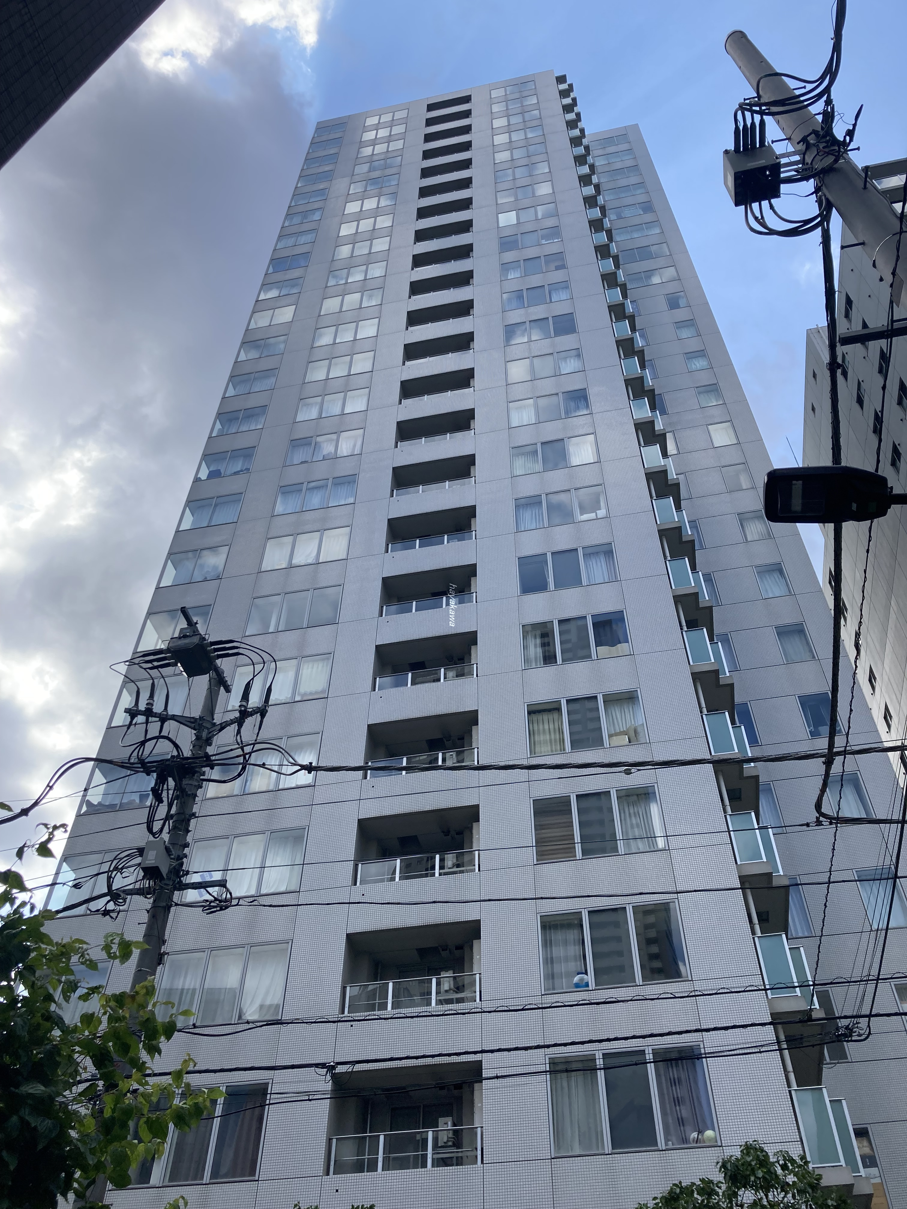 40787画像