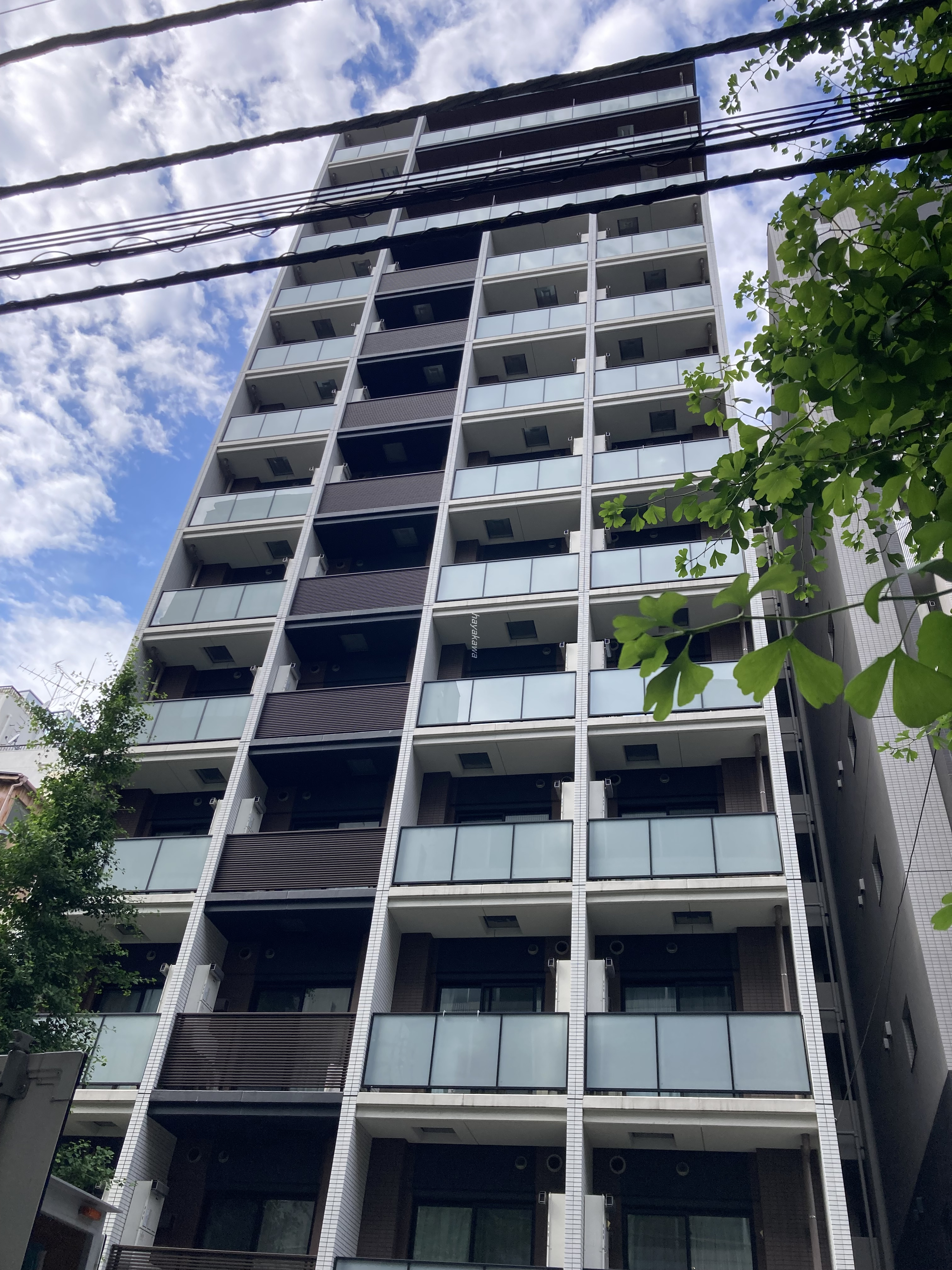 41045画像