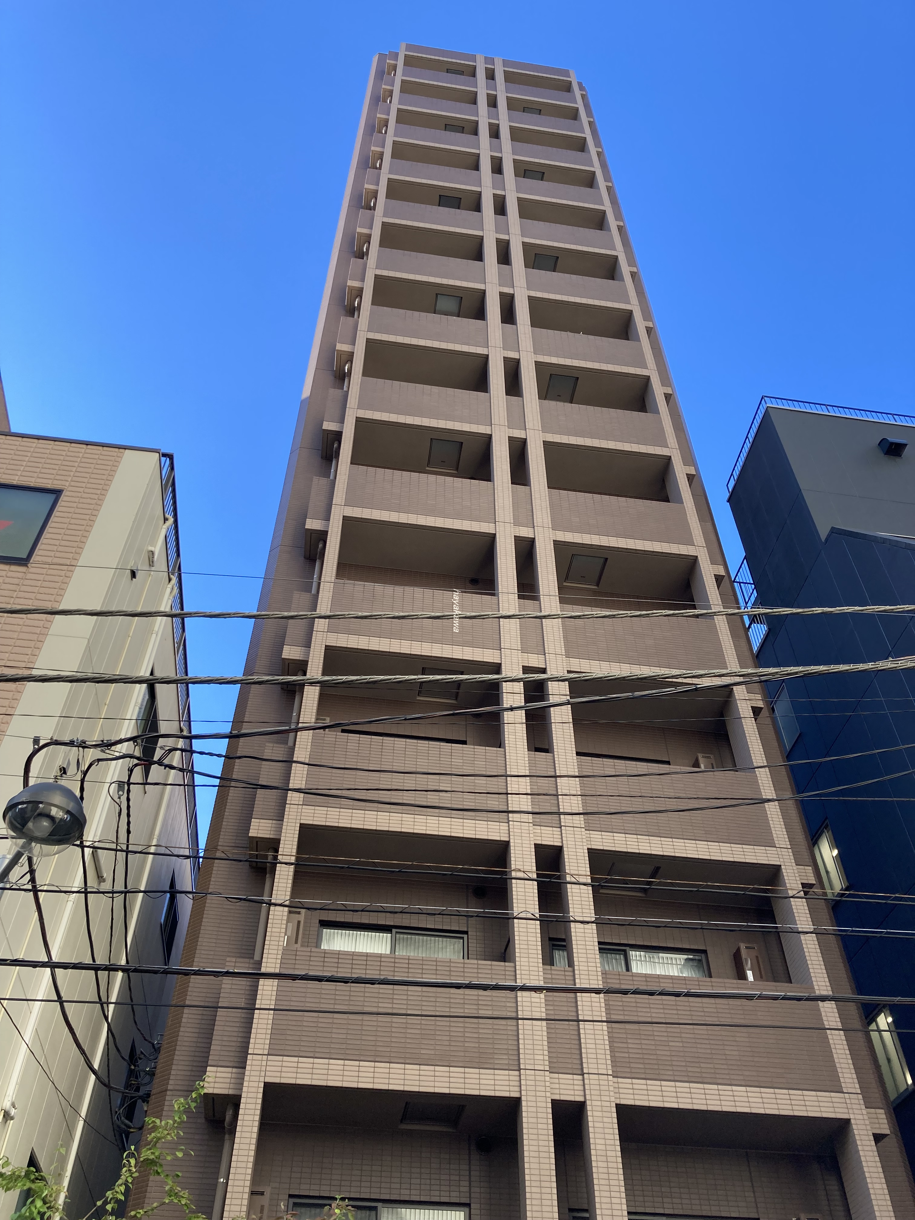 41192画像