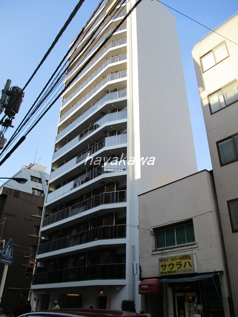 41271画像