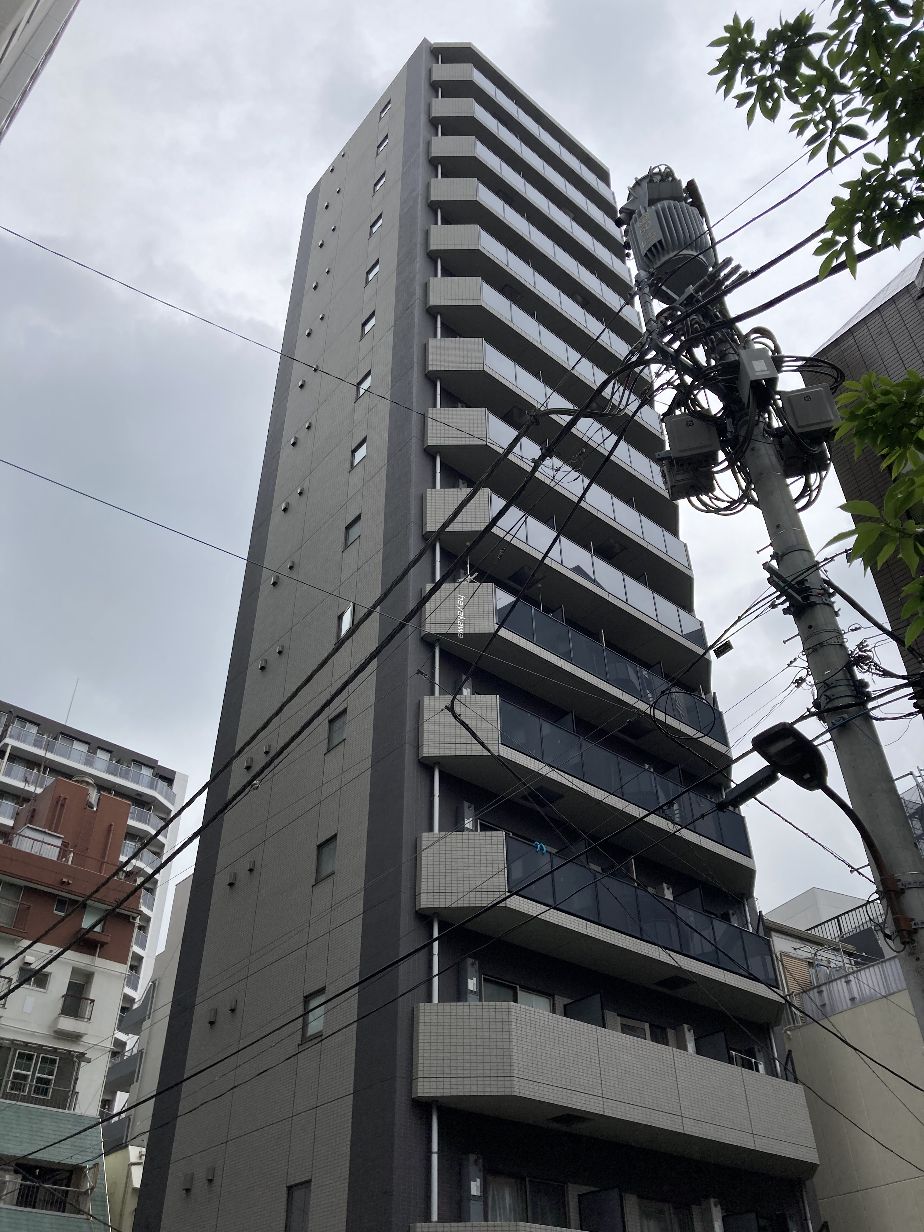 41728画像