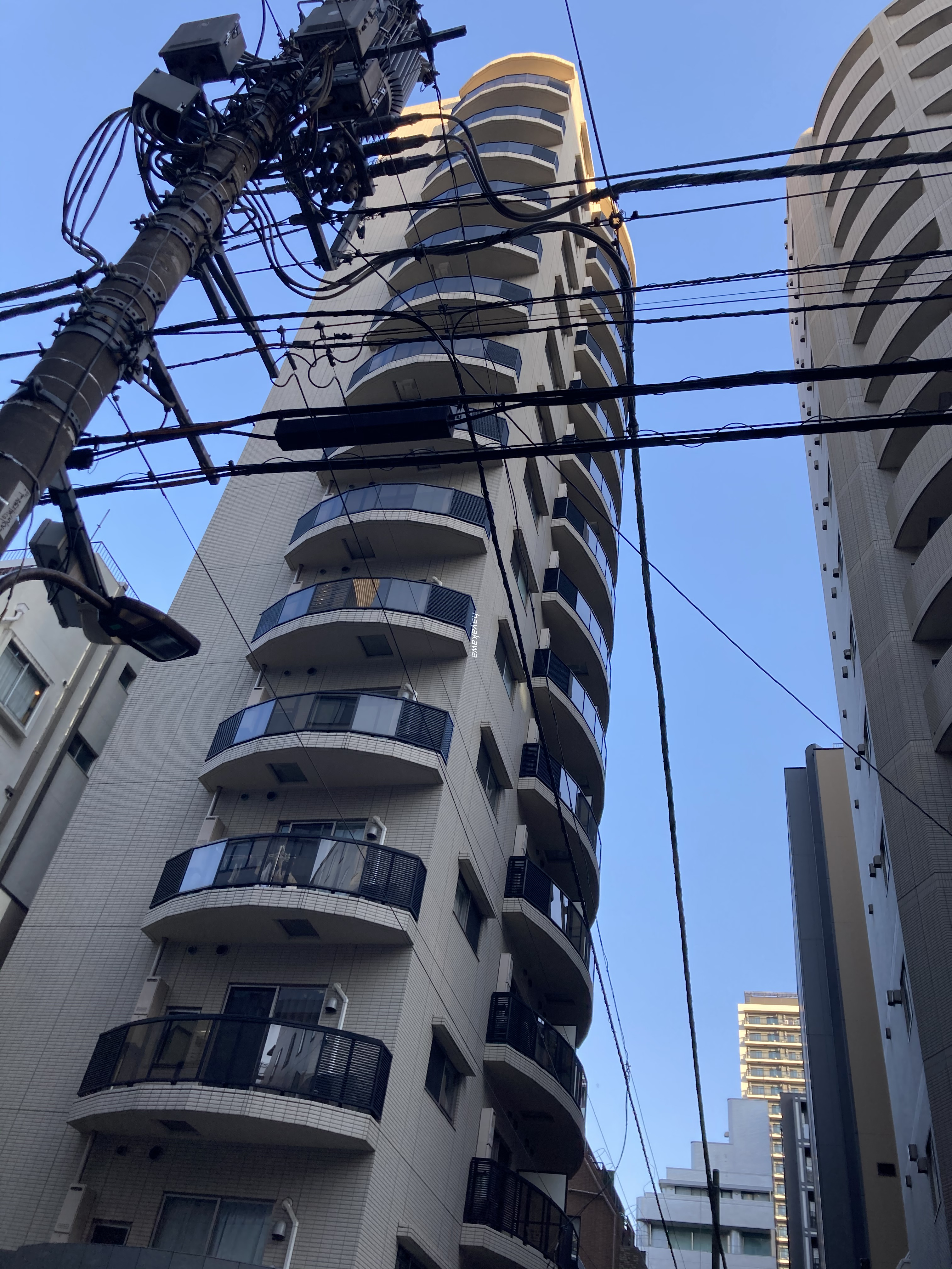 42187画像