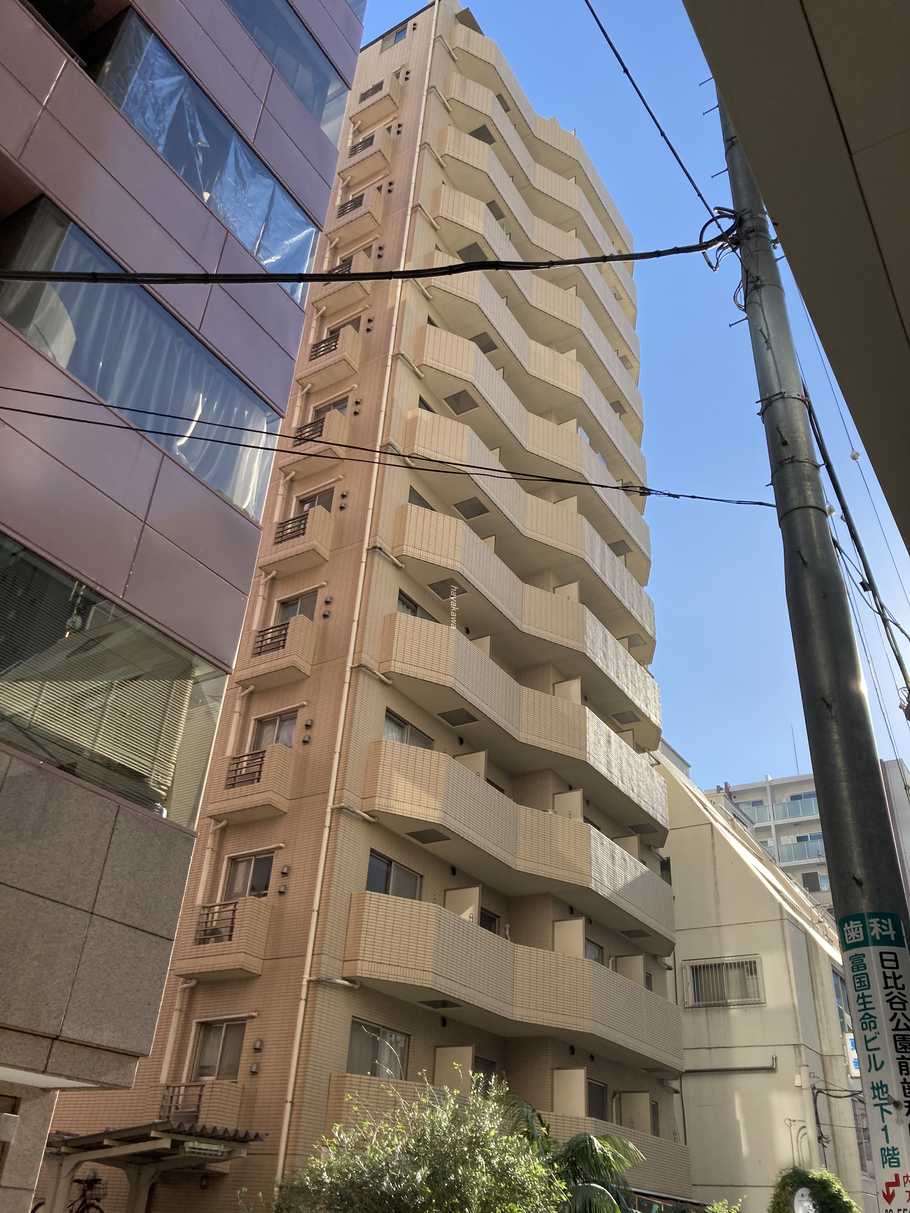 42277画像