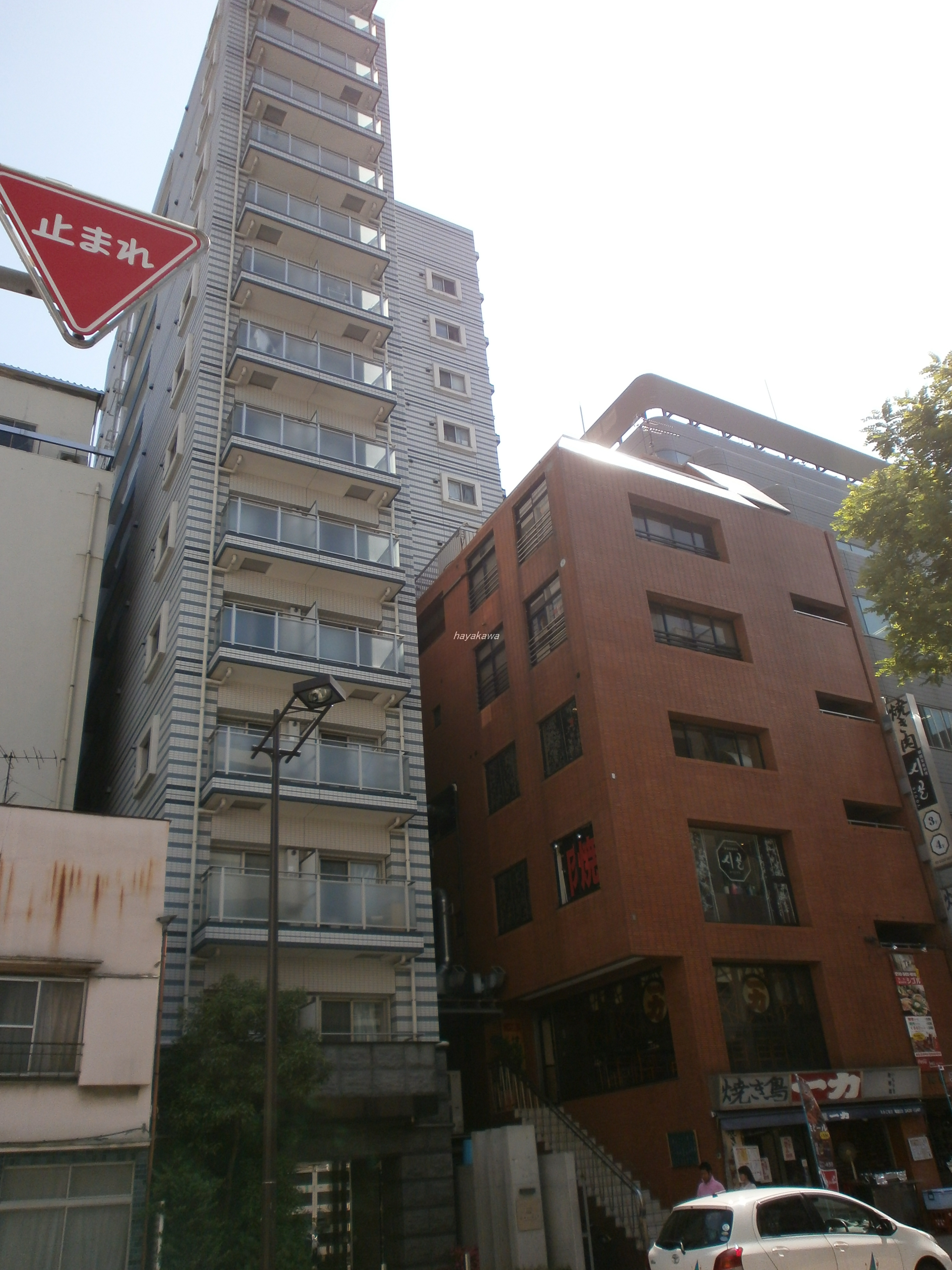 43381画像